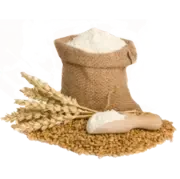 Gahu Atta